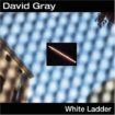 White-Ladder