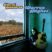 govtmule-live-at-bonnaroo