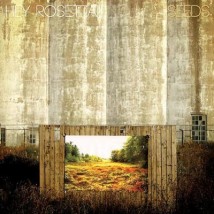 hey_rosetta-seeds