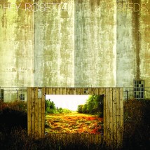 Hey_Rosetta-SEEDS-cover