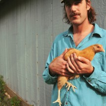 Rayland Chicken Rayland Chicken