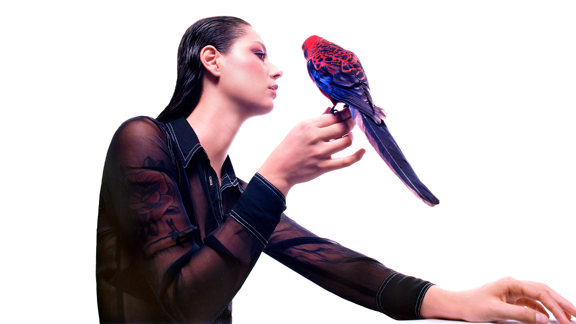 Grace Cummings Announces Sophomore Album ‘Storm Queen’ - ATO RECORDS